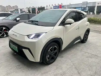 BYD Seagull