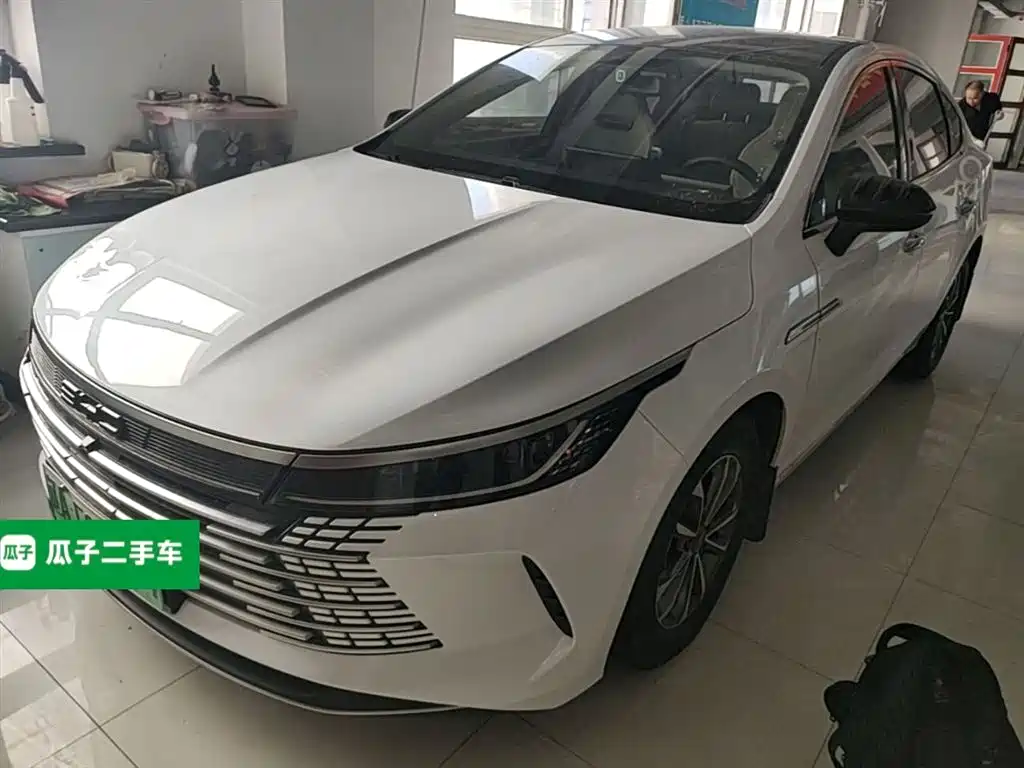 BYD Destroyer 05 2023 Champion Edition DM-i 55KM Luxury фото 2