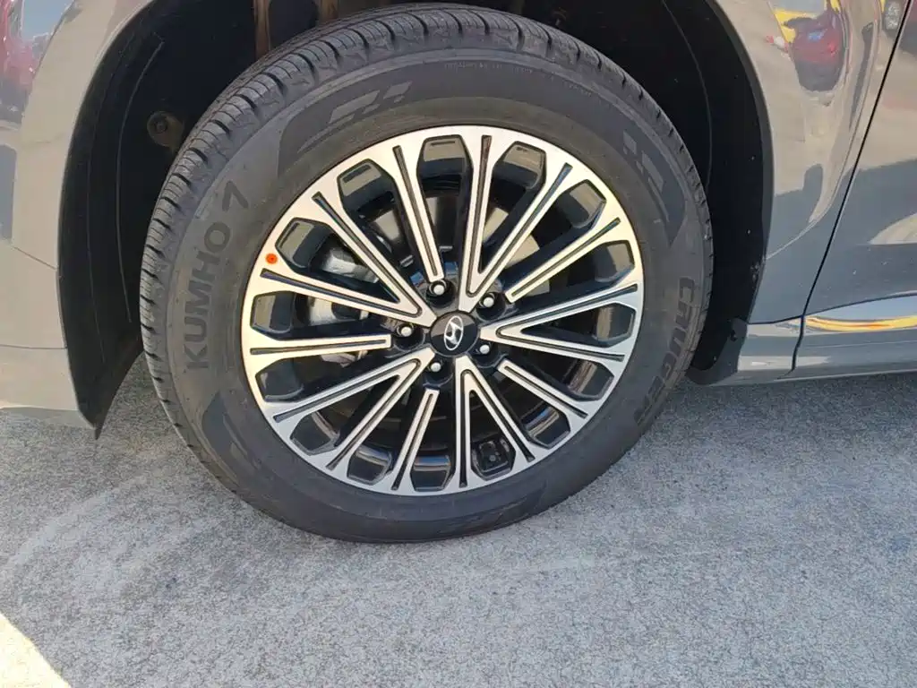 صورة 23 - Hyundai Custo