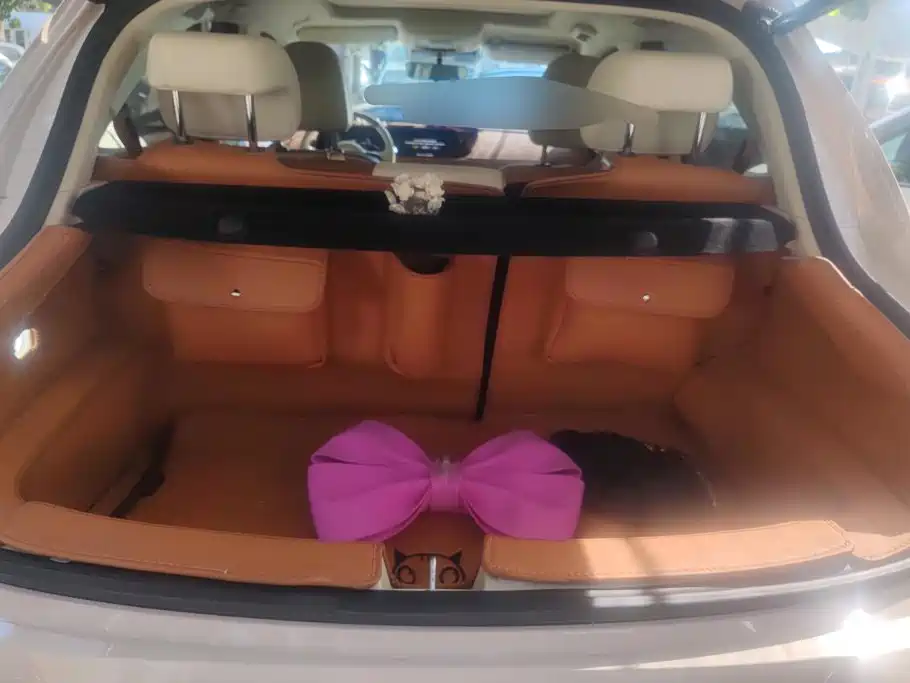 Ora Good Cat 2024 2024 401km Honor 135kW