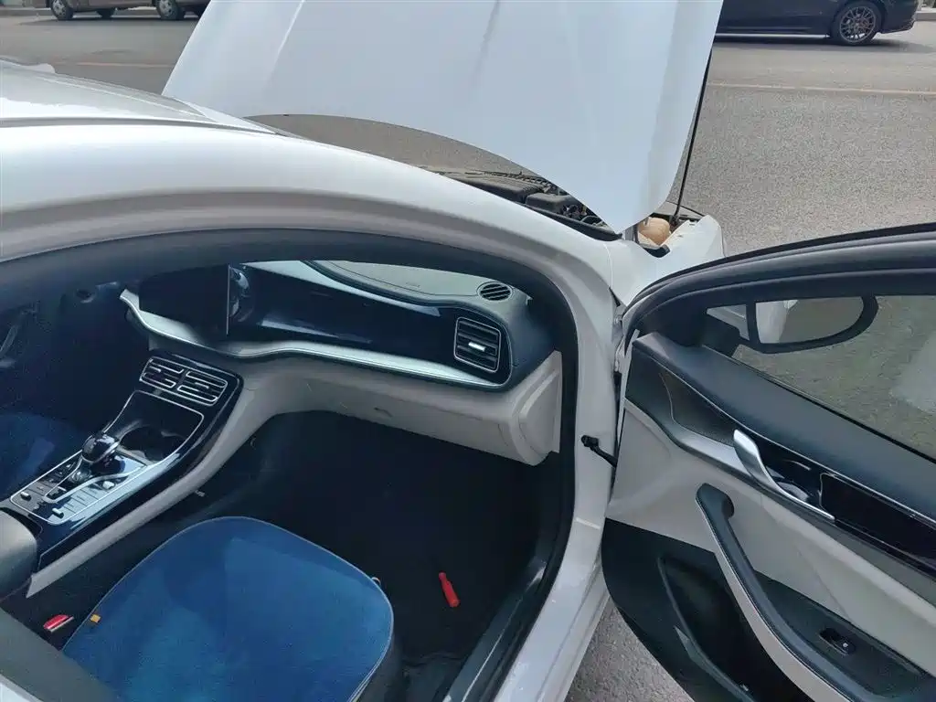 BYD Qin PLUS 2021 DM-i 55KM Flagship фото 22