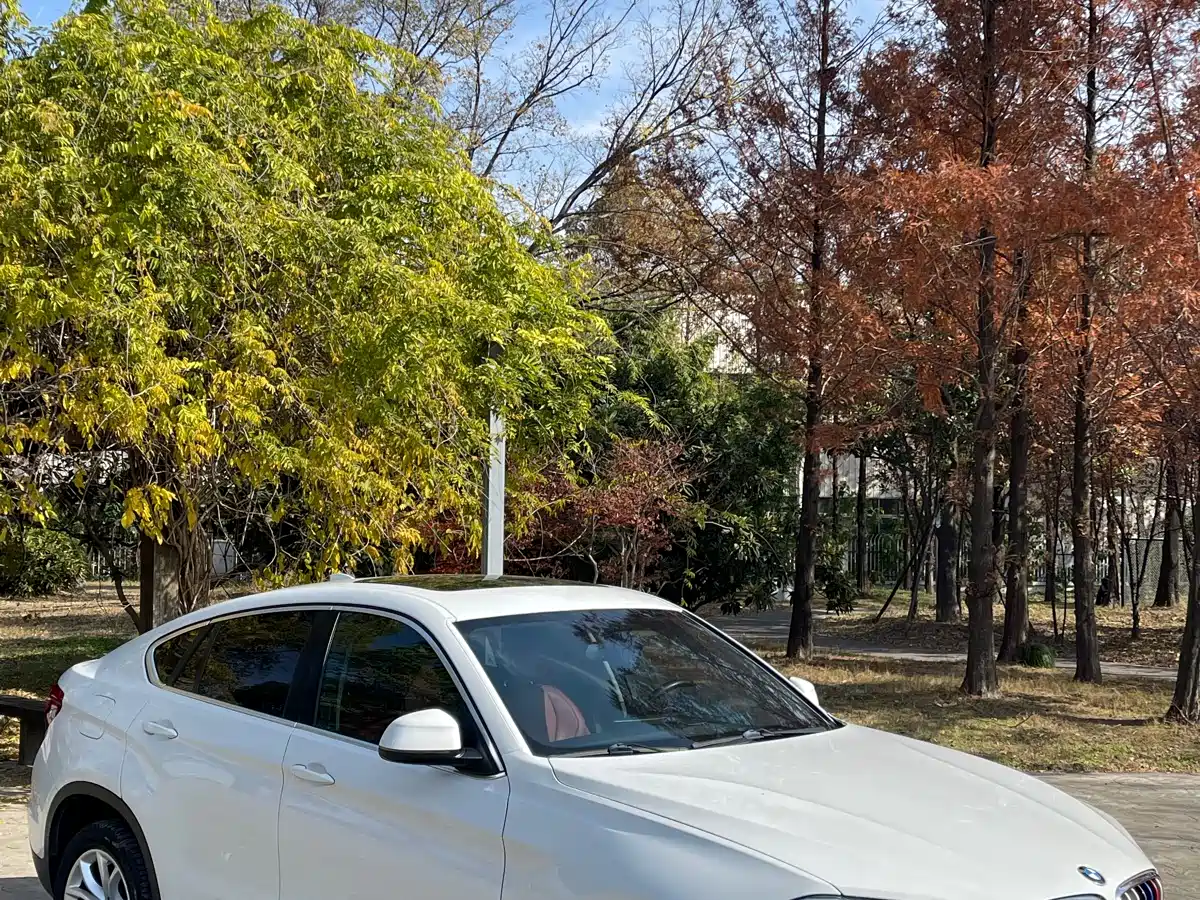 BMW X6 2017 xDrive35i Luxury фото 3