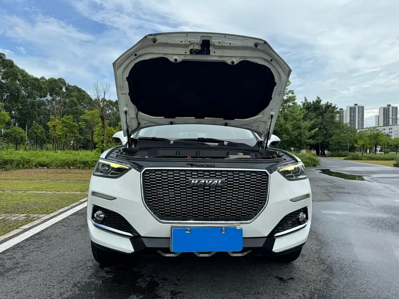 Haval F5 2019 2019 National Trend Edition 1.5T iTrend China VI