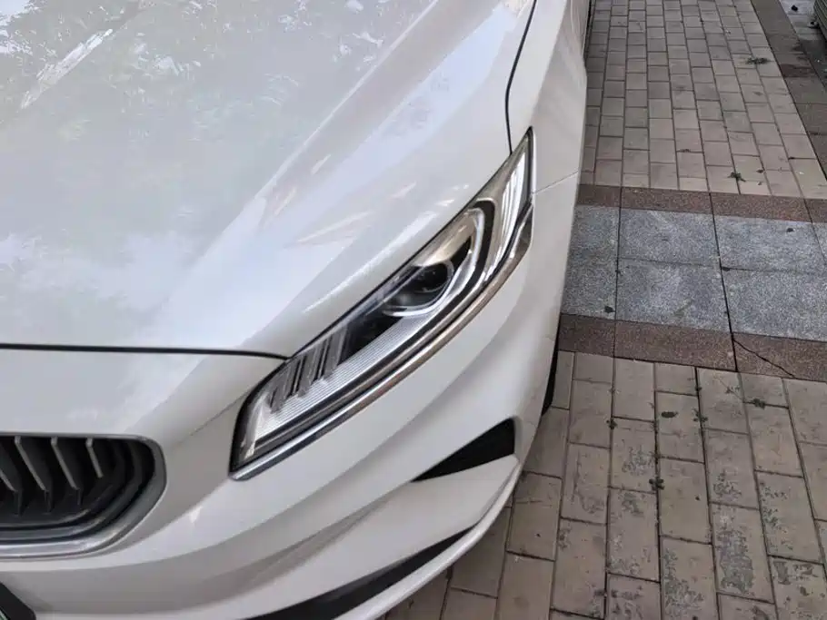 Geely Borui PHEV 2021 2021 1.5T ePro Leading Edition