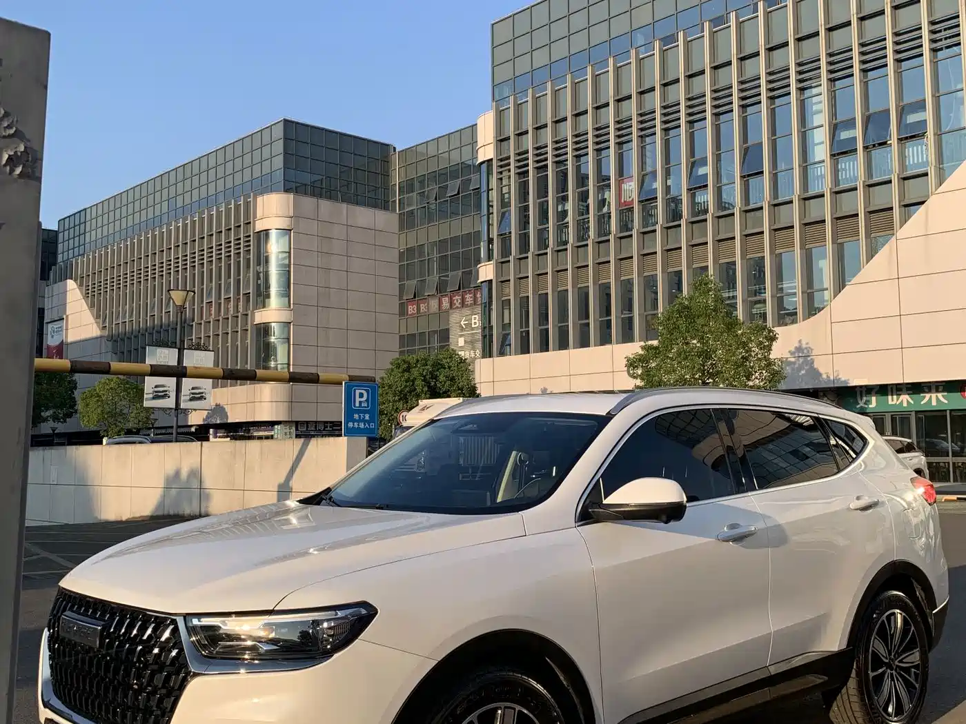 Haval Haval H6 2023 National Trend Edition 1.5T Automatic Champion