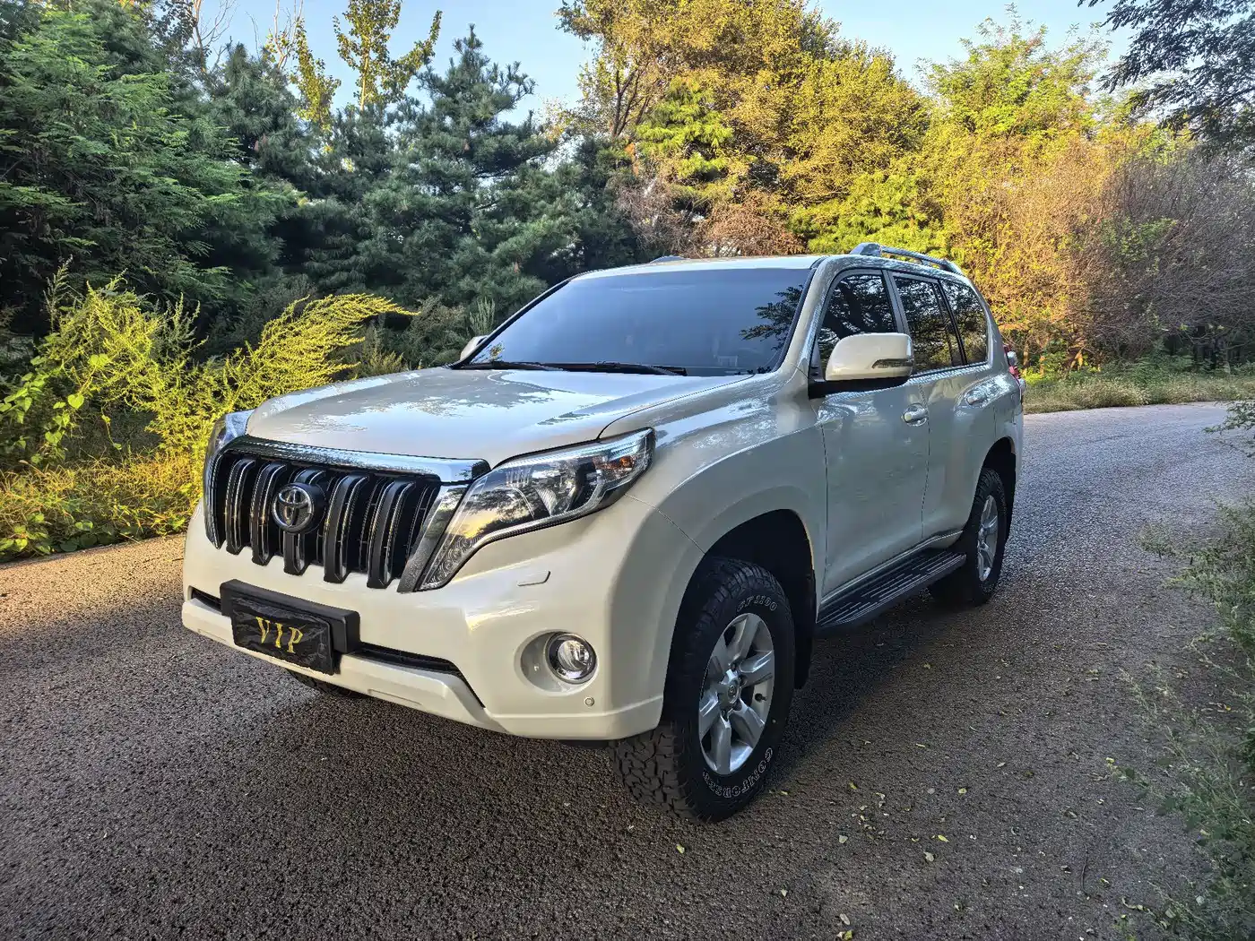 Toyota Prado 2019 2019 3.5L Automatic TX-L Zunxiang Edition