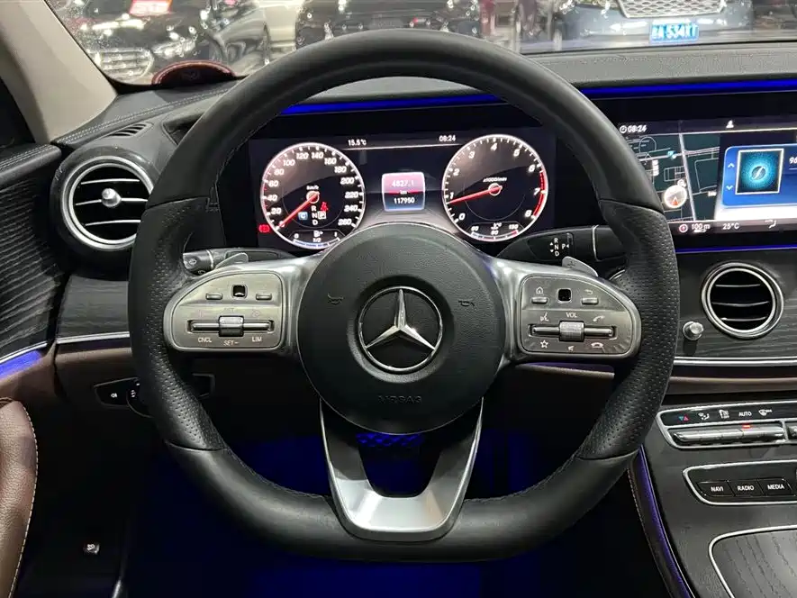 Mercedes-Benz E-Class 2019 E 300 L Sport Luxury фото 9