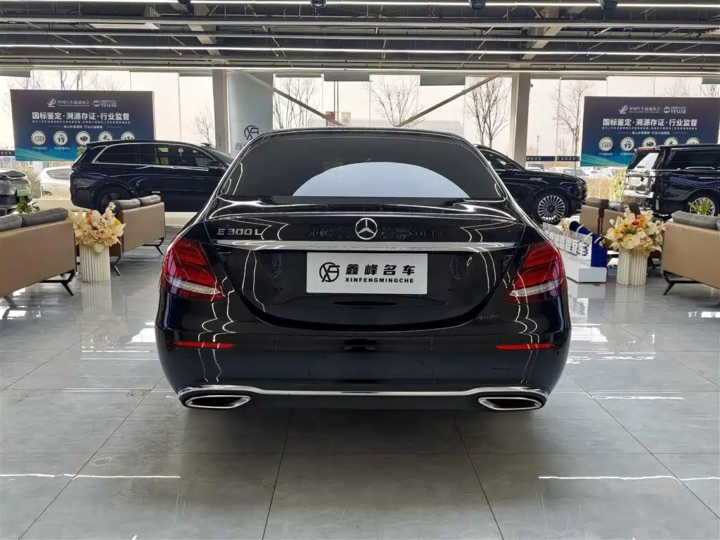 Mercedes-Benz E-Class 2018 E 300 L Fashion фото 19