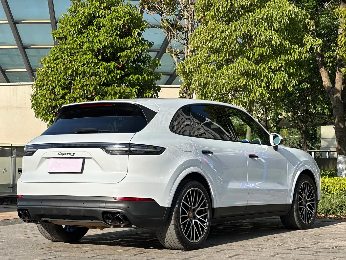 Porsche Cayenne 2023 Cayenne 3.0T Platinum Edition фото 4