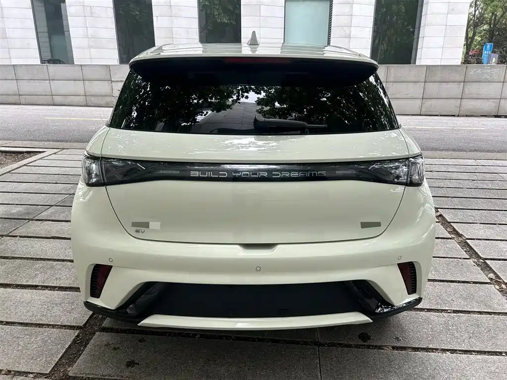 BYD Dolphin 2024 Glory Edition 420km Fashion Edition фото 4