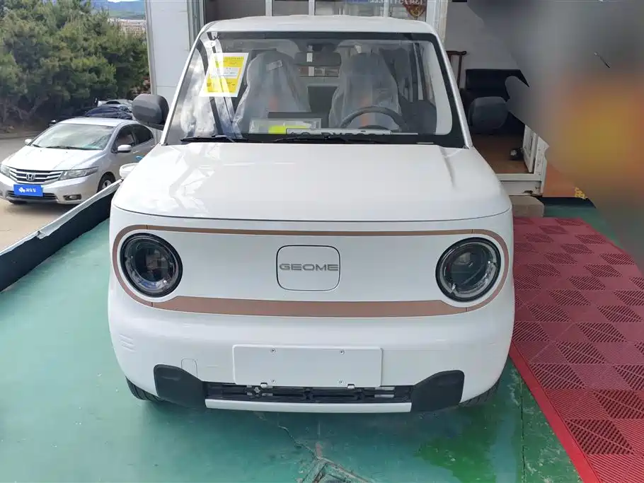 Geely Galaxy Panda 2024 Panda mini 200km Endurance Bear фото 2