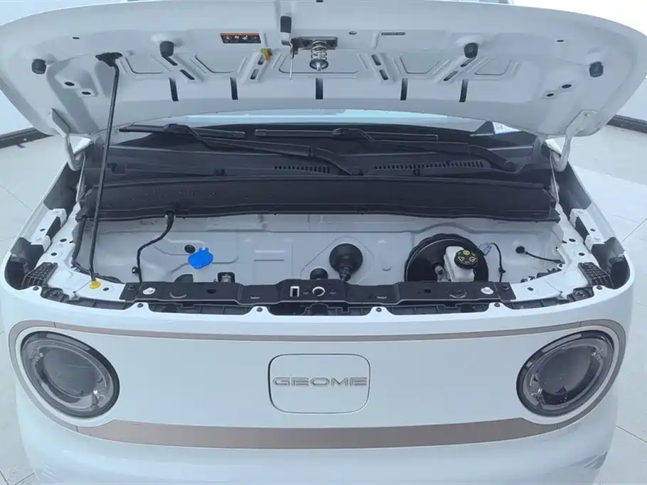 Geely Galaxy Panda 2023 Panda Mini 200km Endurance Bear фото 10