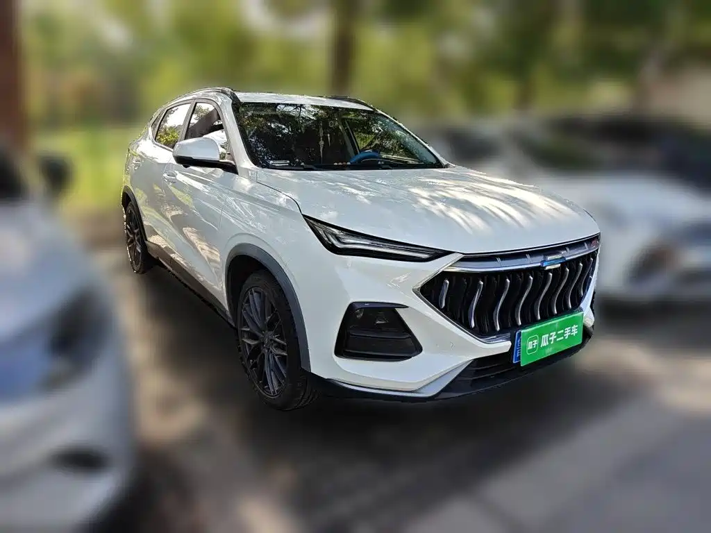 Фото 23 - Changan Oshan Changan Oushang X5