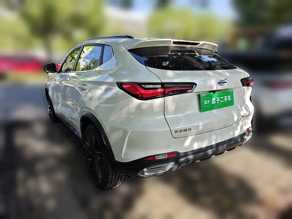 Фото 24 - Changan Oshan Changan Oushang X5