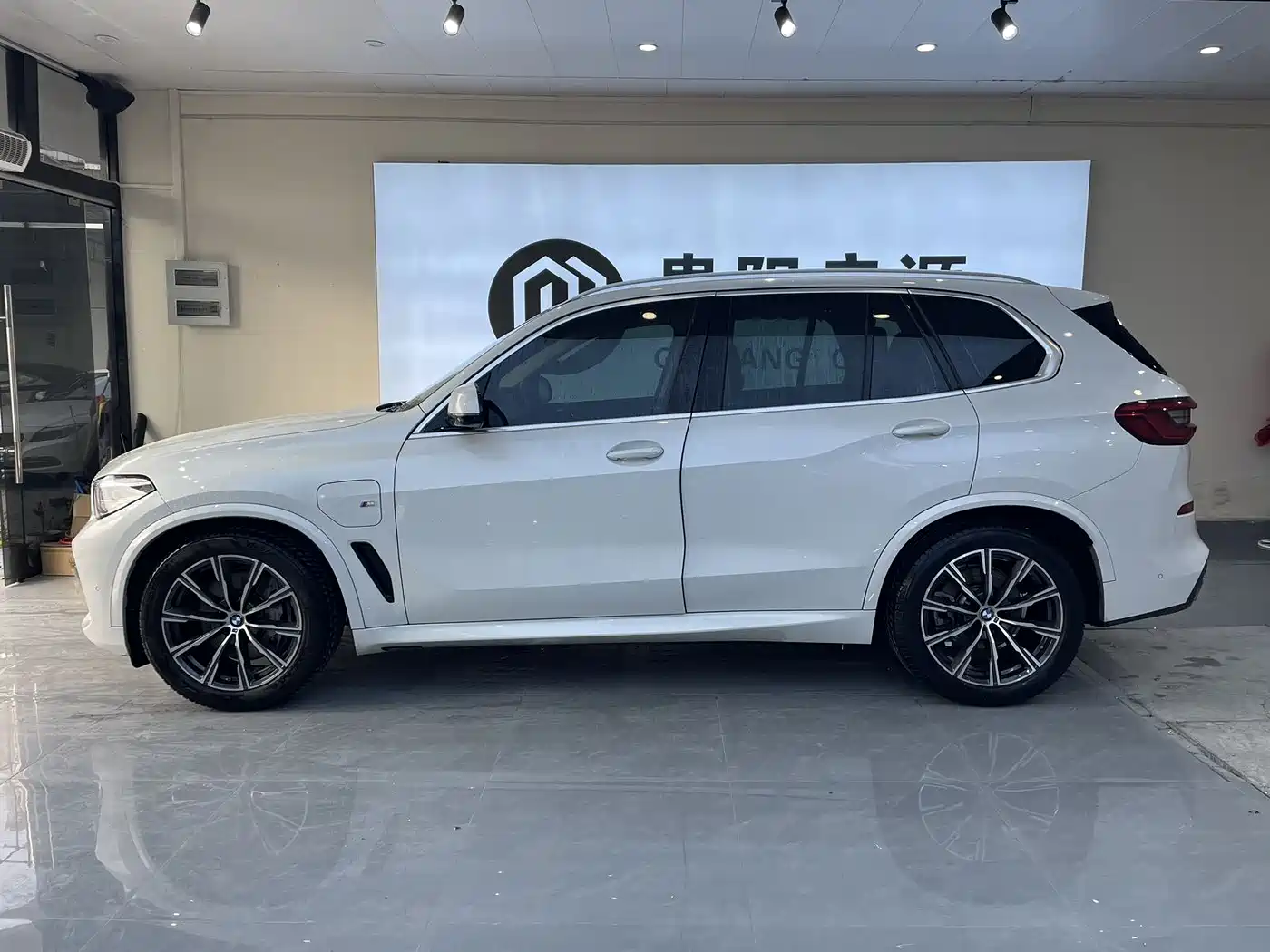 BMW X5 NEW ENERGY