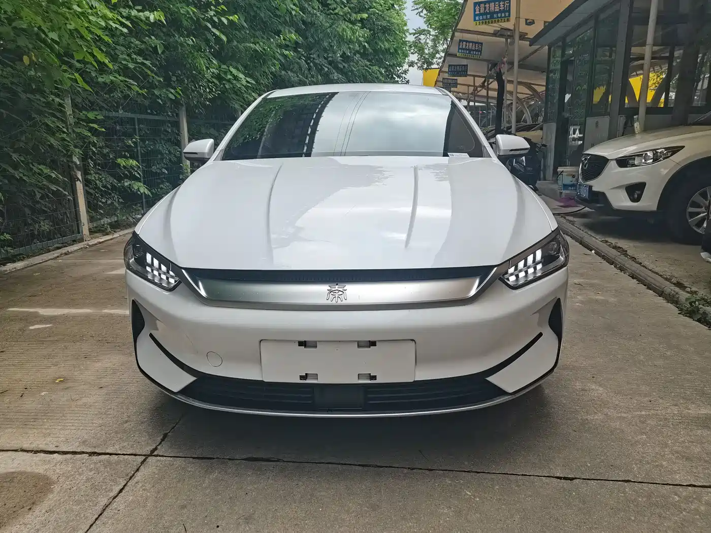 BYD Qin PLUS 2023 Champion Edition EV 510KM Leading Type фото 2