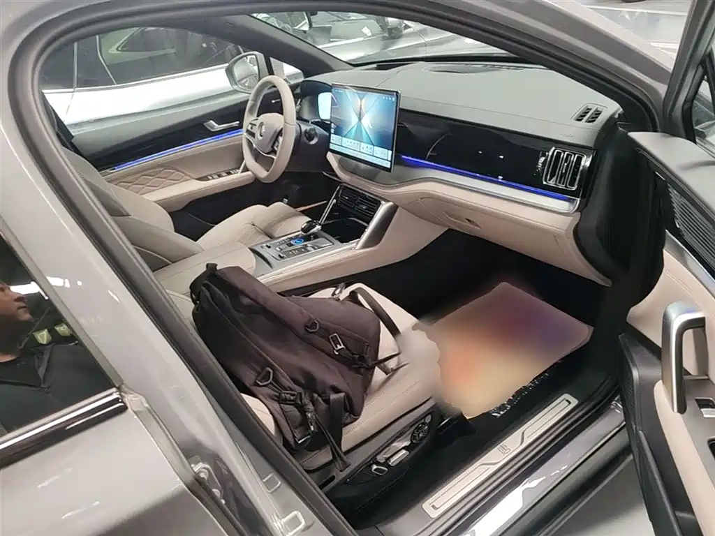 BYD Tang New Energy 2025 Smart Driving Edition DM-i 115KM Flagship фото 25