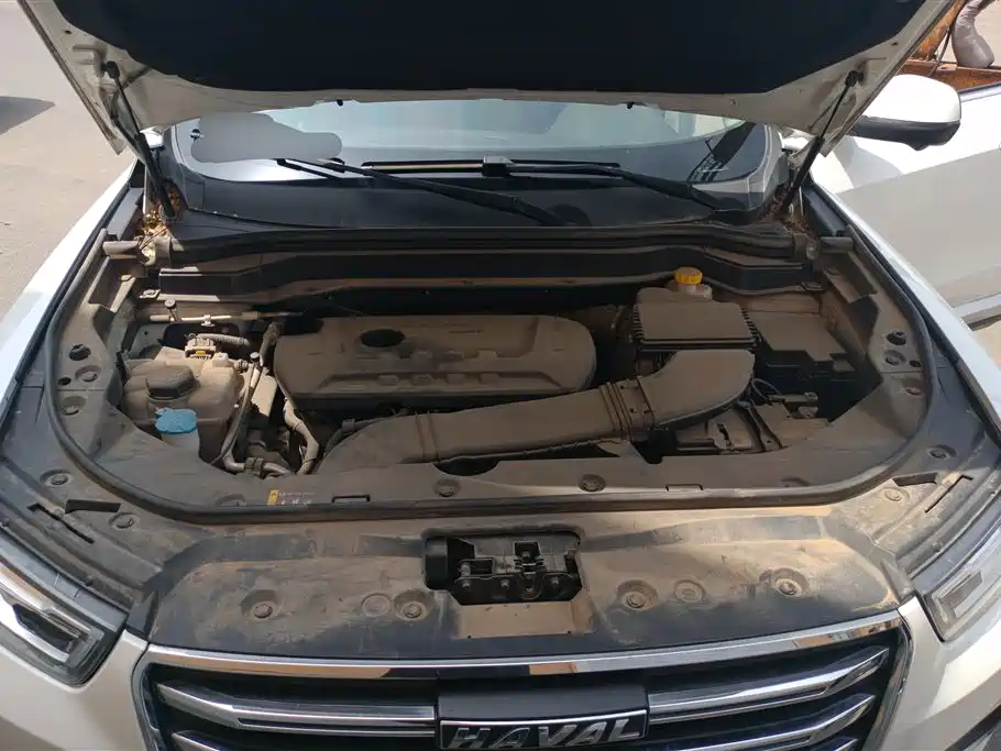 Haval H6 2020 2.0GDIT Automatic Platinum Champion Edition фото 10