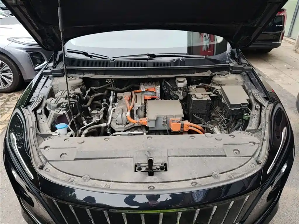 Hongqi E-QM5 2024 Model 610km PLUS фото 20