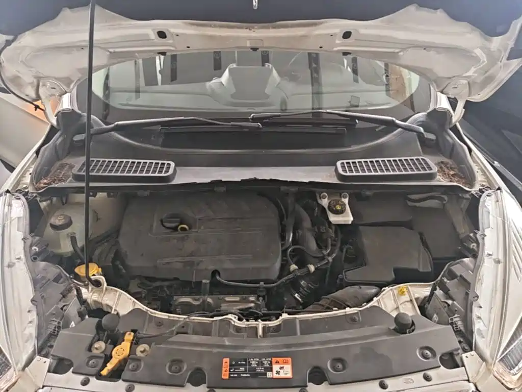 Ford Kuga 2017 2017 EcoBoost 180 2WD Tiger Leap