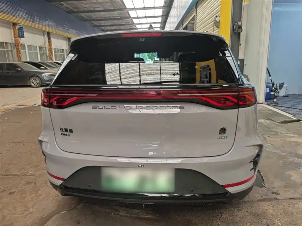 BYD Tang New Energy 2025 Smart Driving Edition DM-i 115KM Flagship фото 6