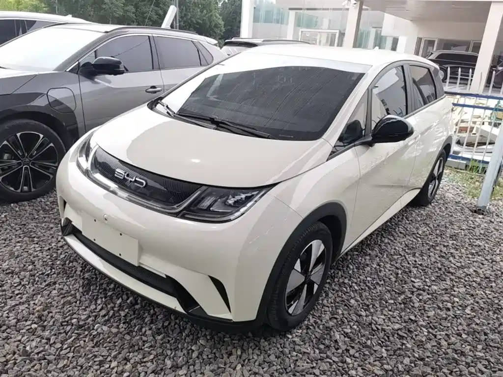 BYD Dolphin 2023 420km Freedom Edition