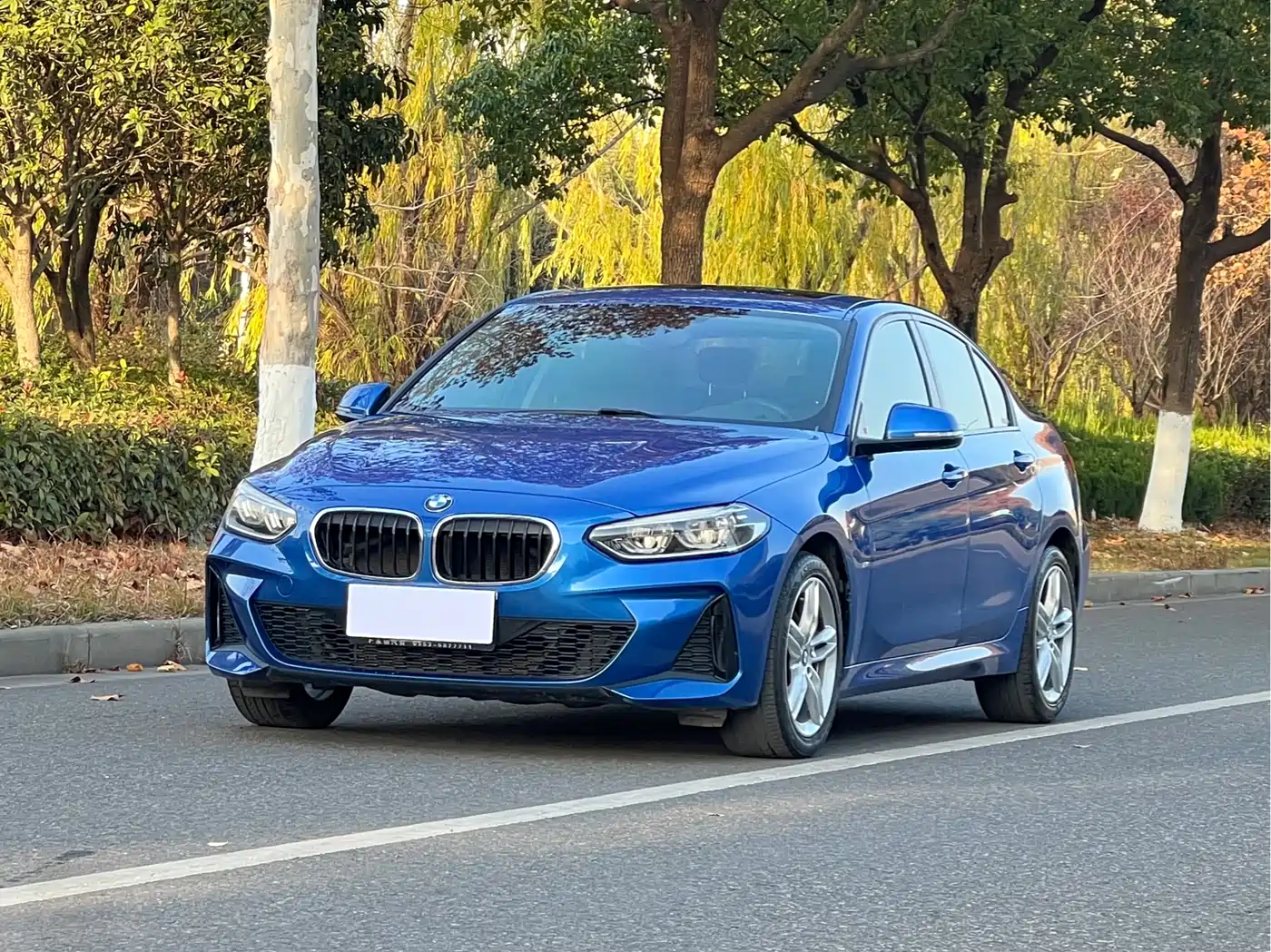 BMW 1 Series 2019 118i M Sport Package