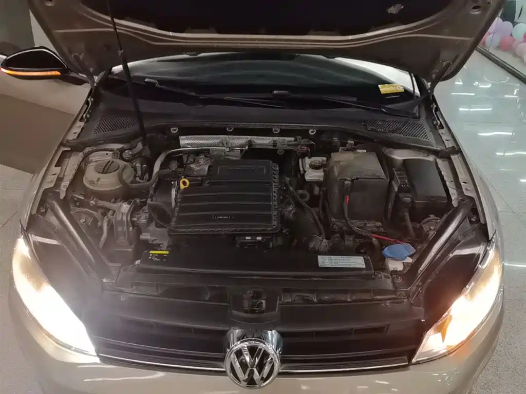 Volkswagen Golf 2017 1.6L Auto Comfort Millionth Edition фото 20