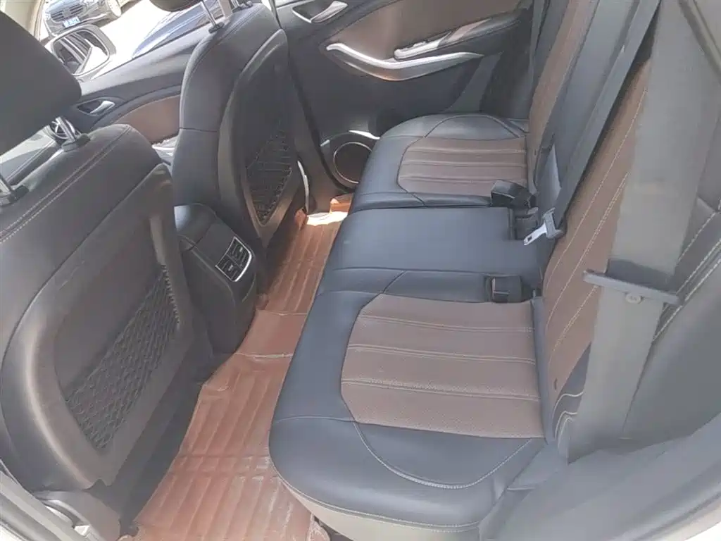 BYD Song 2019 1.5TI Manual Smart Connection Sport фото 13
