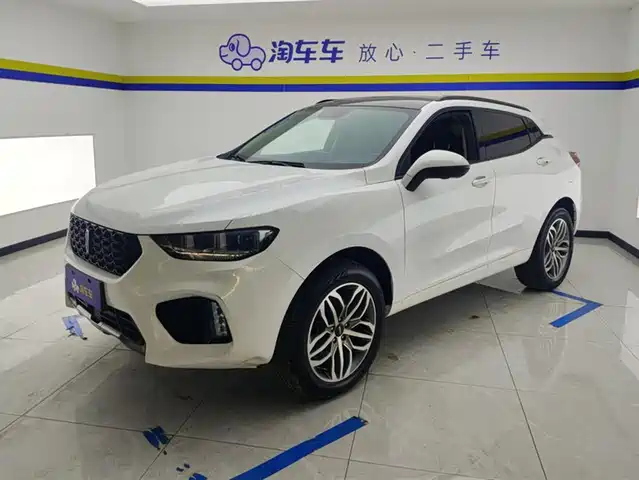 WEI PAI WEI BRAND VV5