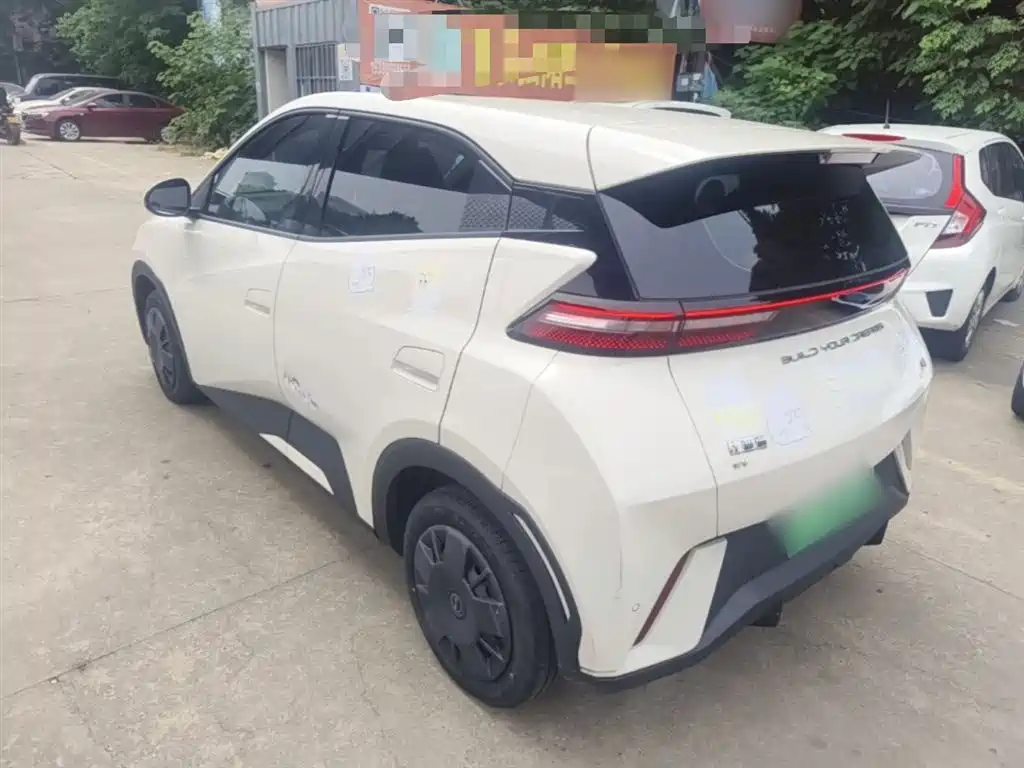 BYD Seagull 2024 Glory Edition 305km Vitality Edition фото 5