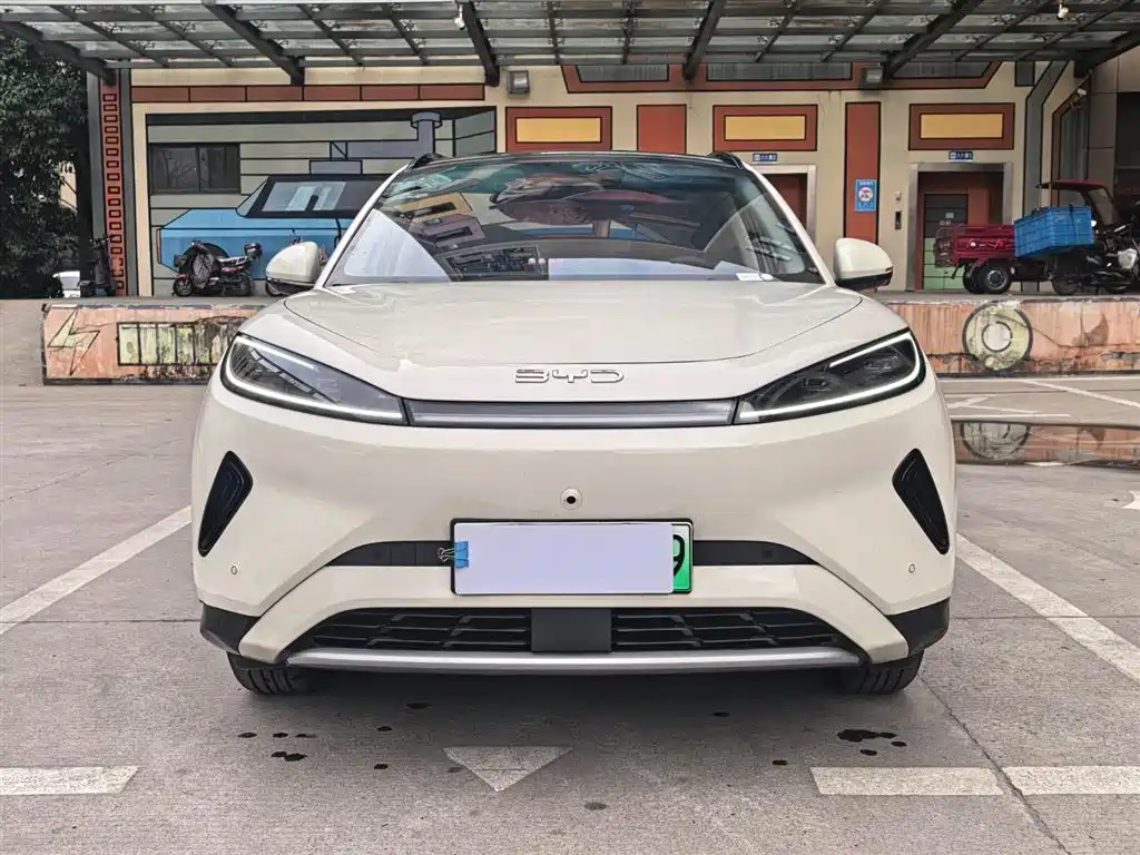 BYD Hai Shi 05 EV 2025 520KM Smart Navigation Edition фото 2