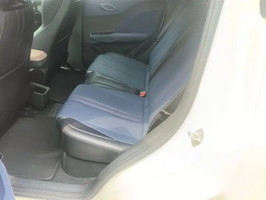 BYD Seagull 2024 Glory Edition 305km Vitality Edition фото 17
