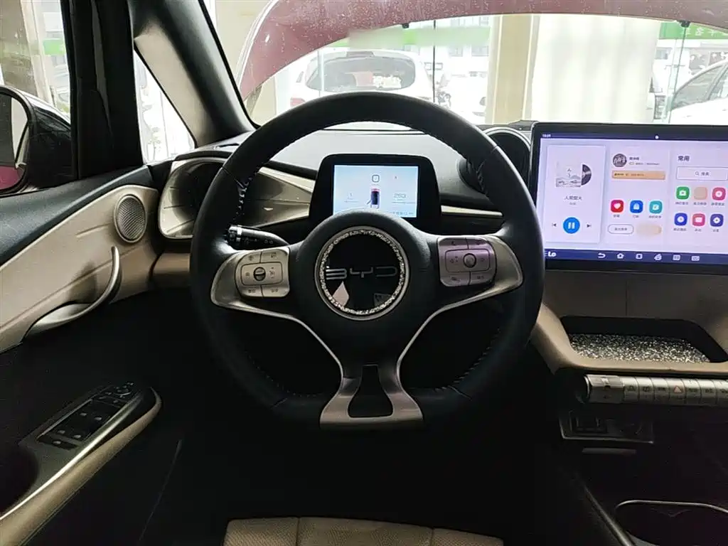 BYD Dolphin 2023 420km Fashion Edition фото 11