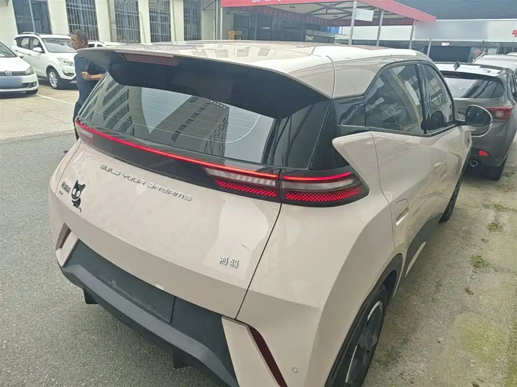BYD Seagull 2024 Glory Edition 305km Freedom Edition фото 7