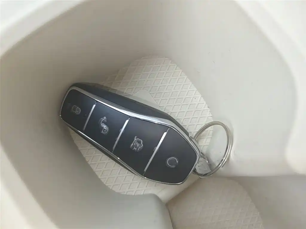 BYD Seagull 2024 Glory Edition 305km Freedom Edition фото 9
