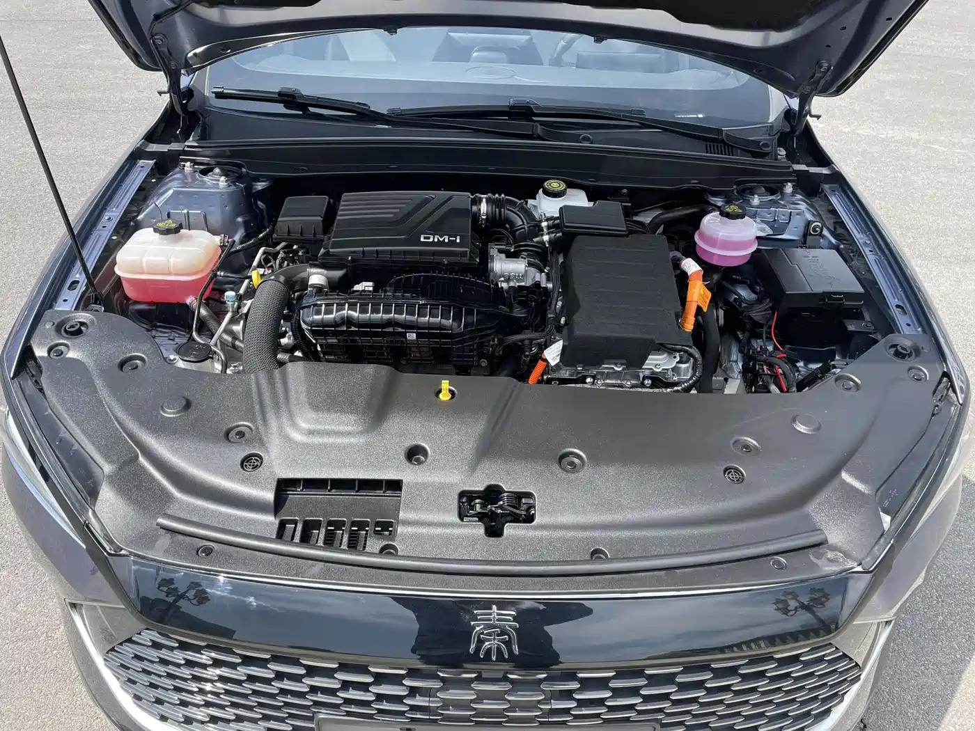 BYD Qin PLUS 2024 Glory Edition DM-i 55KM Leading фото 8
