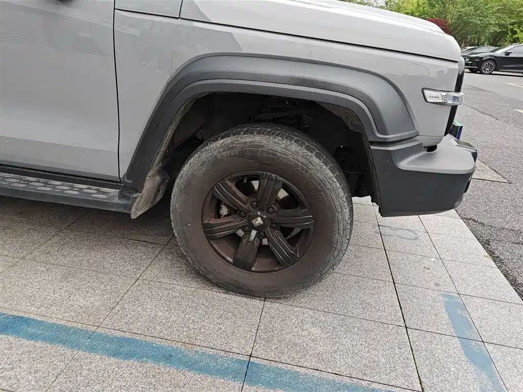 Tank 300 2021 Off-road Edition 2.0T Challenger фото 26