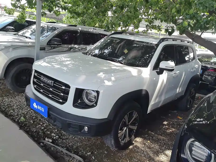 Haval Big Dog 2022 1.5T DCT FWD Labrador Edition