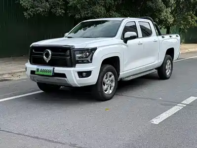 Great Wall King Kong Poer