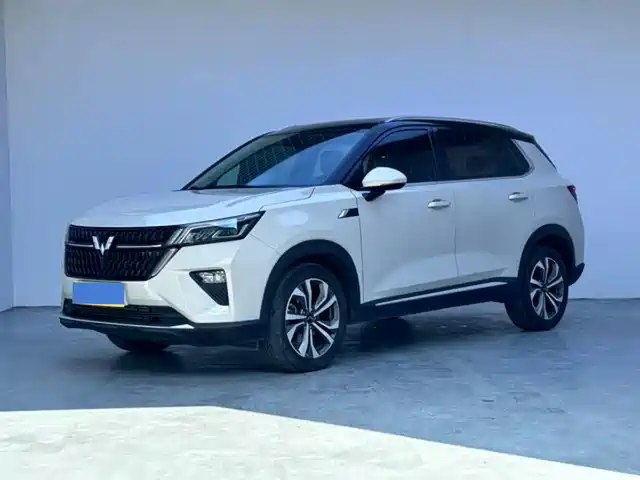 WULING WULING XINGCHEN