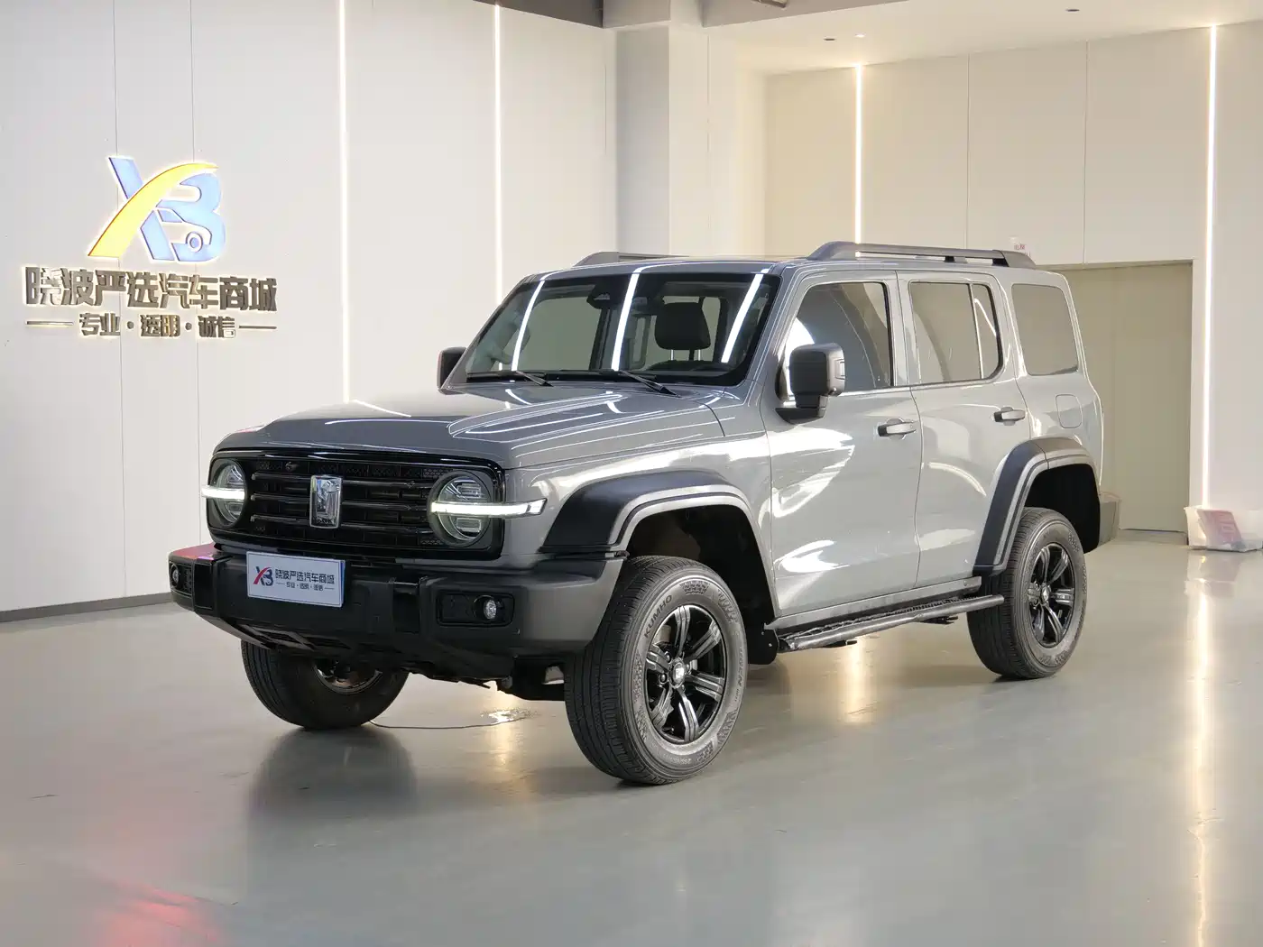 Tank 300 2021 Off-road Version 2.0T Conqueror