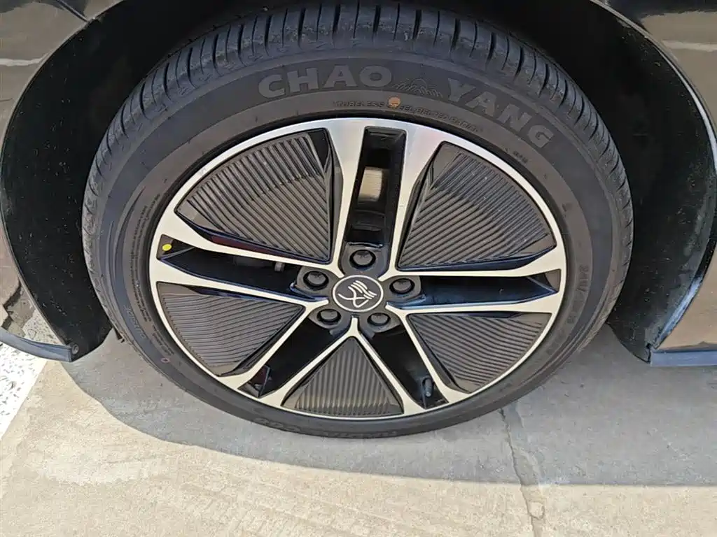 BYD Han 2020 EV Extended Range Premium фото 23