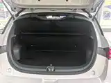 Фото 5 - BYD Dolphin