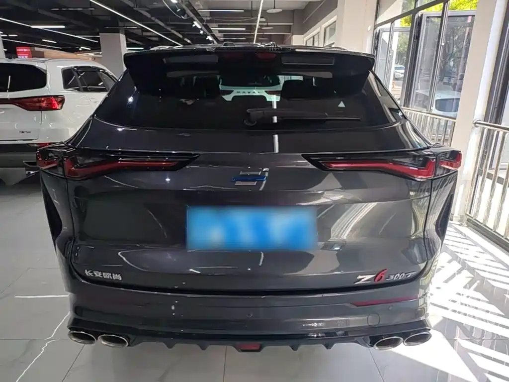 Changan Oshan Z6 2024 2023 Blue Whale 1.5T DCT Smart Cool Edition
