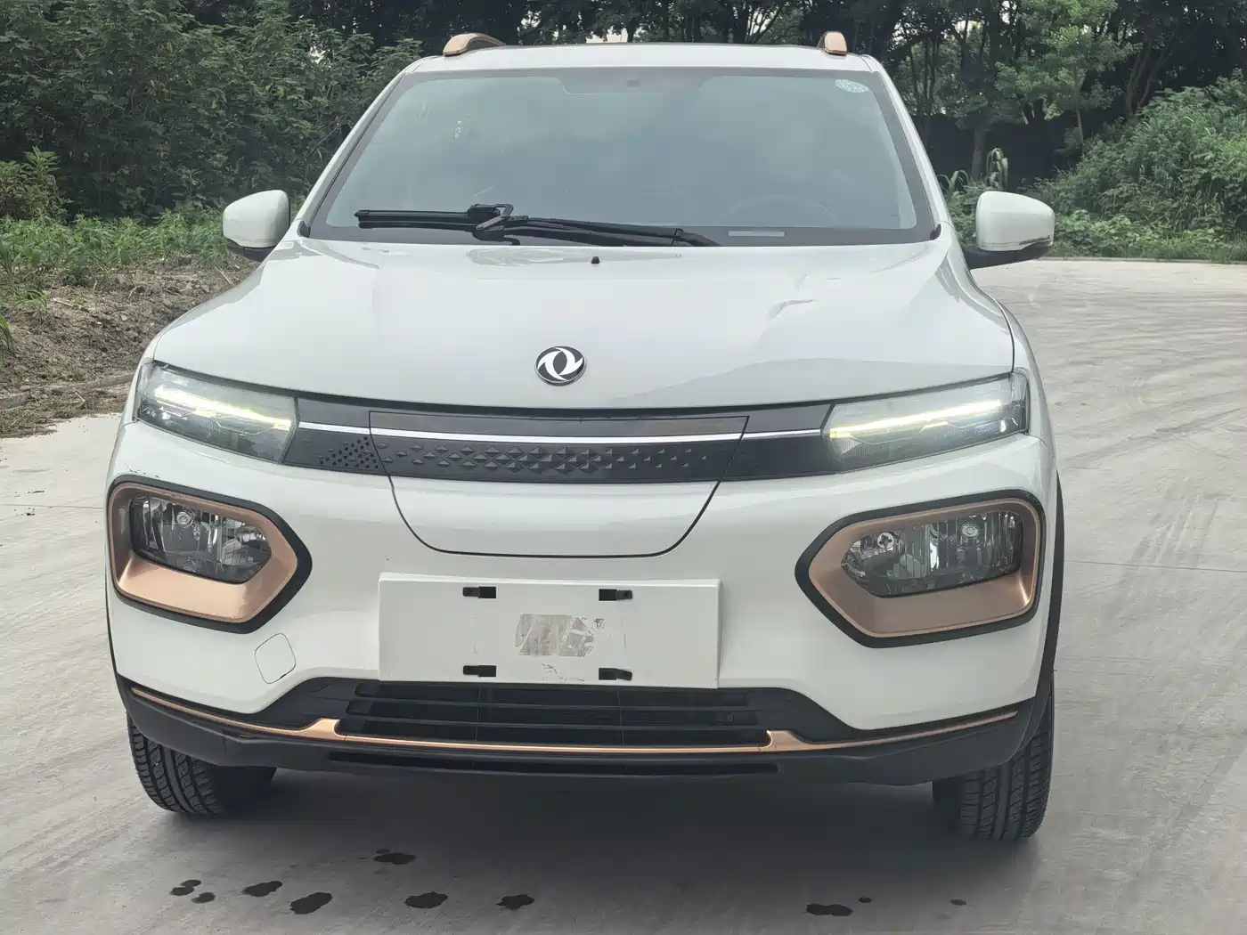 Dongfeng Yipai Dongfeng Nano EX1 2022 2022 Facelift PRO Enjoyment
