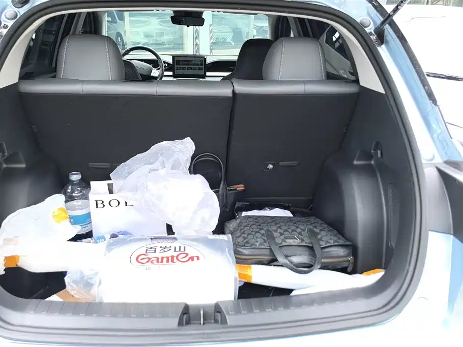 Geely Galaxy Starry Wish 2025 310km Youth Edition фото 4