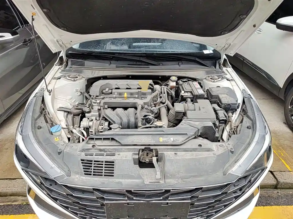 Hyundai Elantra 2021 1.5L CVT LUX Premium Edition фото 20