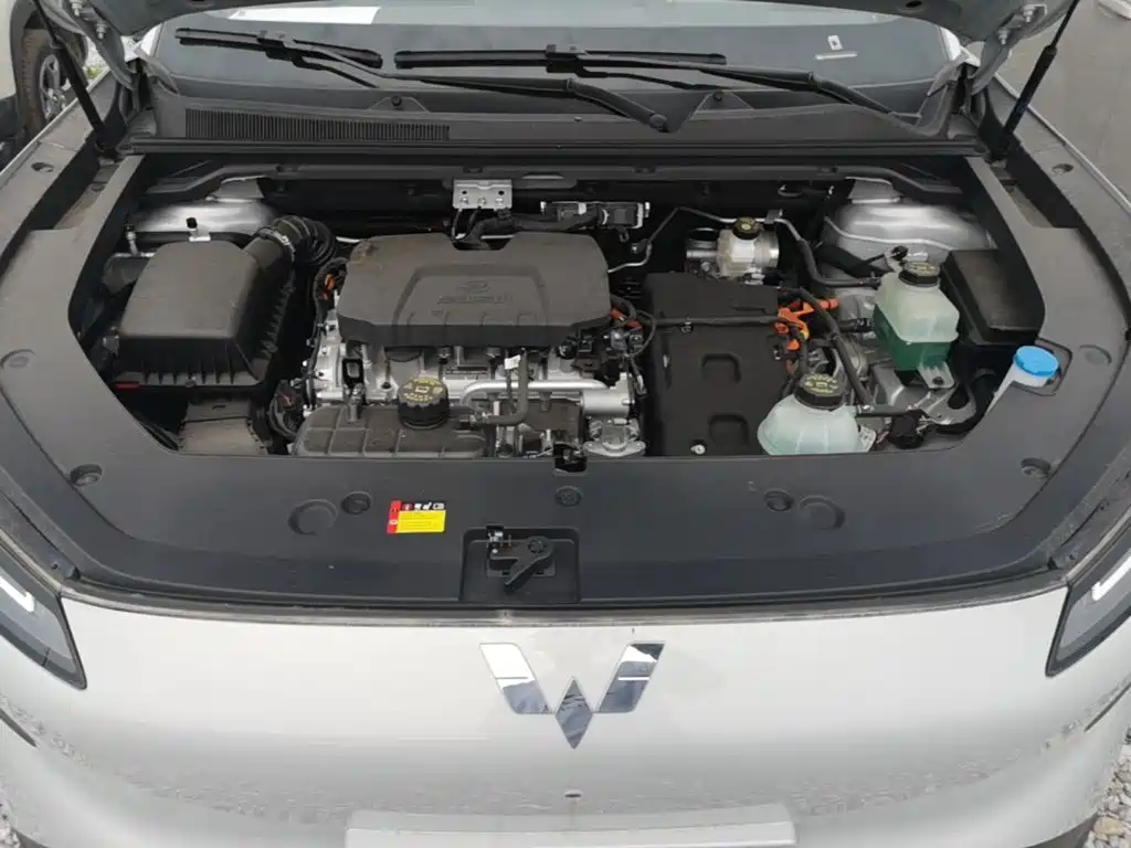 Wuling Motors Wuling Xingguang S 2025 2024 130km Flagship Model