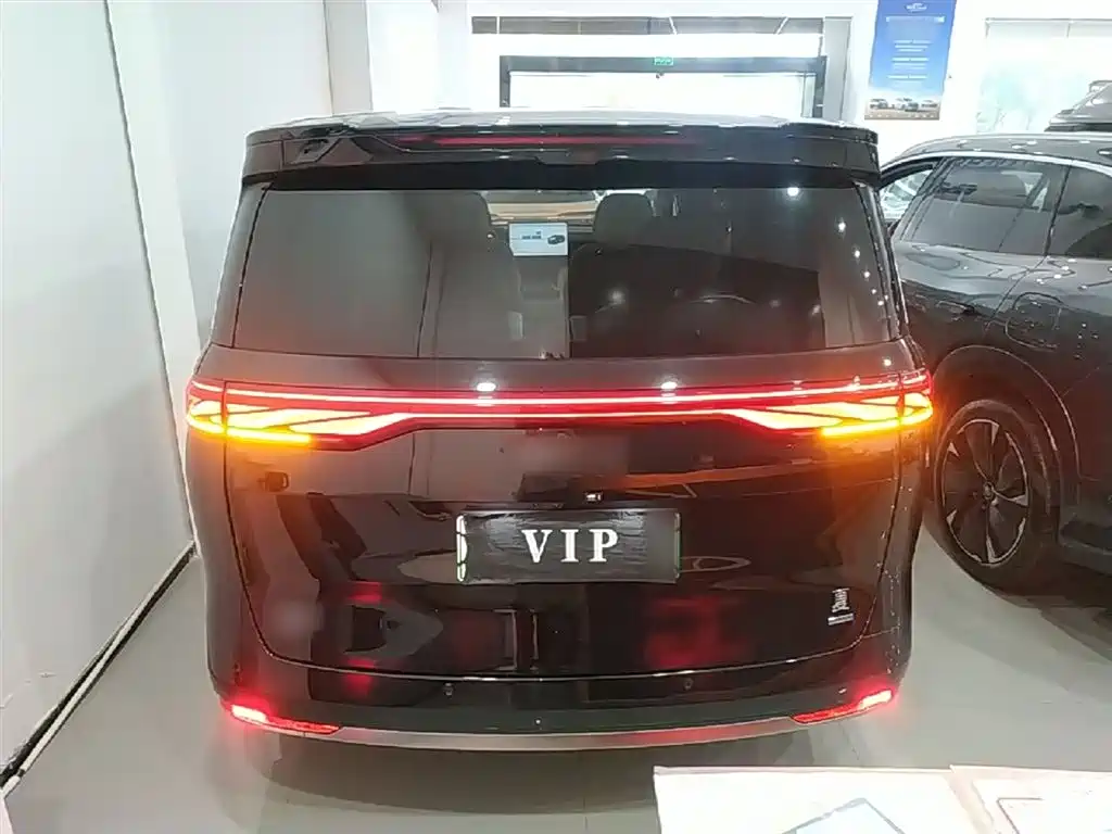 BYD Xia 2025 DM-i 1.5T 180km Surpass Edition фото 6